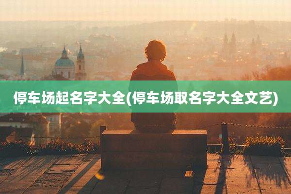 停车场起名字大全(停车场取名字大全文艺)