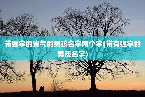 带强字的贵气的男孩名字两个字(带有强字的男孩名字)