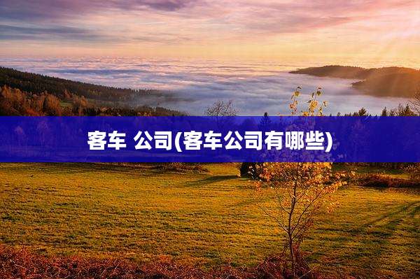 客车 公司(客车公司有哪些)