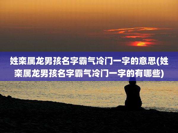 姓栾属龙男孩名字霸气冷门一字的意思(姓栾属龙男孩名字霸气冷门一字的有哪些)