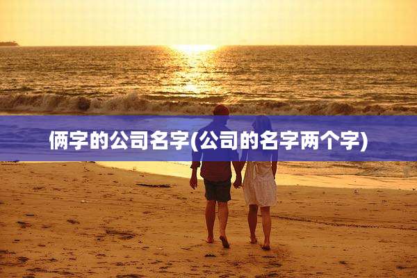 俩字的公司名字(公司的名字两个字)