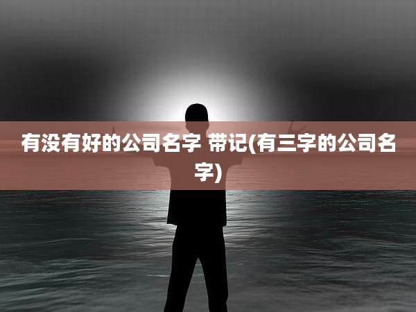 有没有好的公司名字 带记(有三字的公司名字)