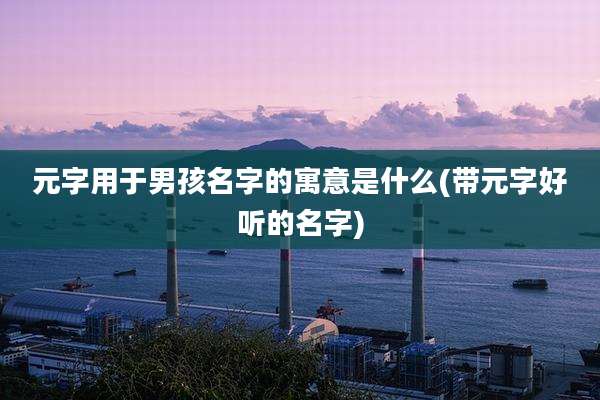 元字用于男孩名字的寓意是什么(带元字好听的名字)