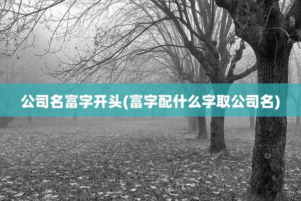 公司名富字开头(富字配什么字取公司名)