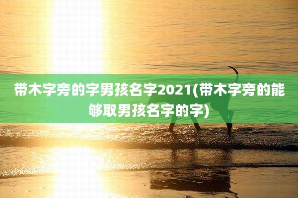 带木字旁的字男孩名字2021(带木字旁的能够取男孩名字的字)