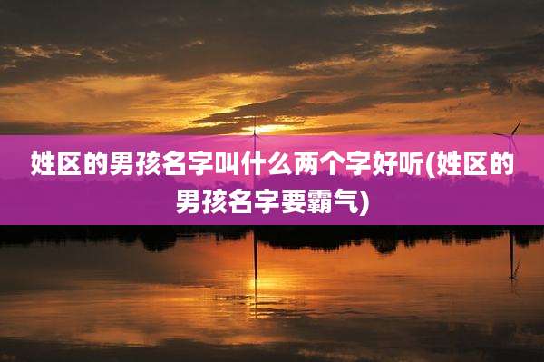 姓区的男孩名字叫什么两个字好听(姓区的男孩名字要霸气)
