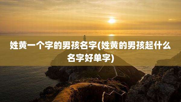 姓黄一个字的男孩名字(姓黄的男孩起什么名字好单字)