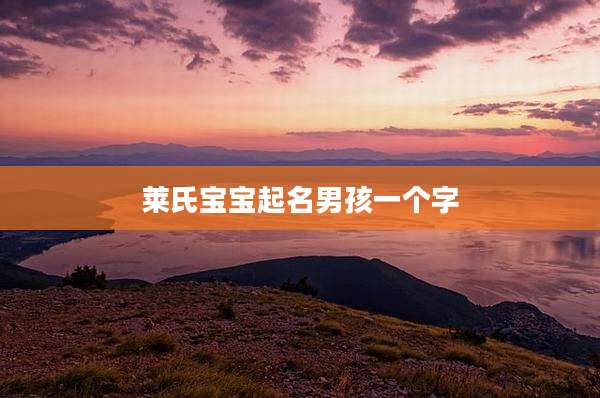 莱氏宝宝起名男孩一个字