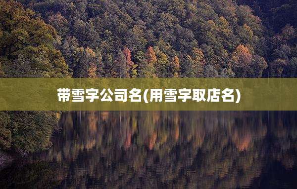带雪字公司名(用雪字取店名)