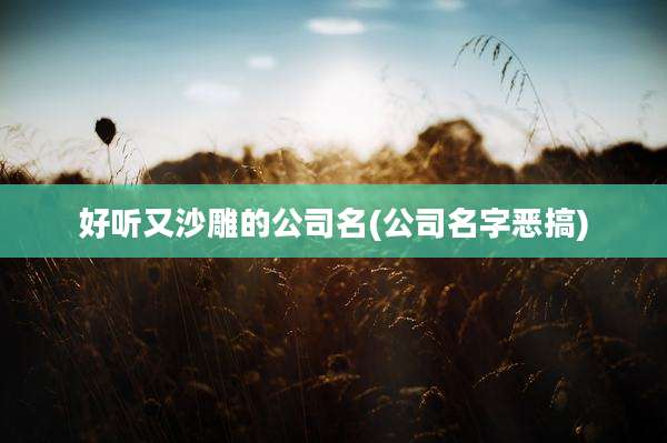 好听又沙雕的公司名(公司名字恶搞)