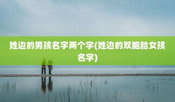 姓边的男孩名字两个字(姓边的双胞胎女孩名字)