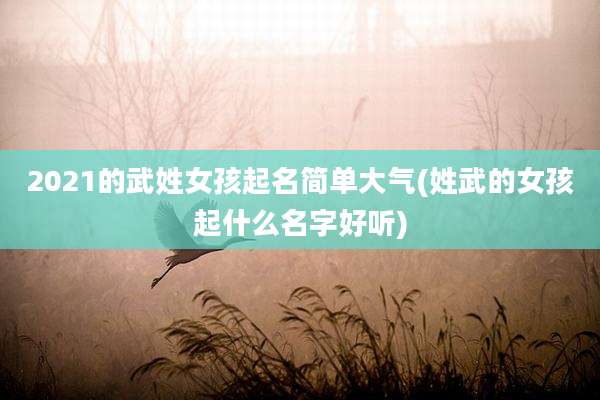 2021的武姓女孩起名简单大气(姓武的女孩起什么名字好听)