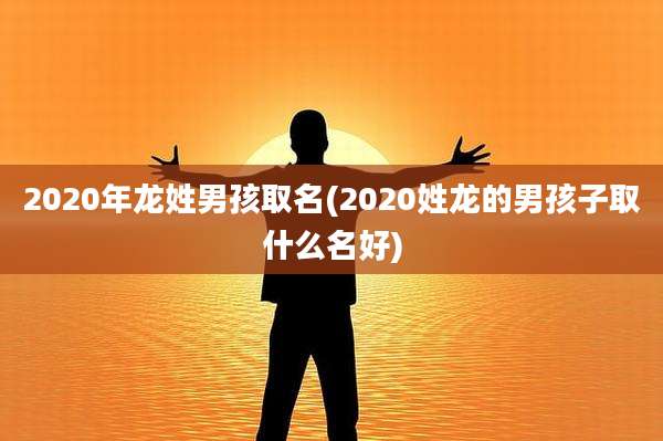 2020年龙姓男孩取名(2020姓龙的男孩子取什么名好)