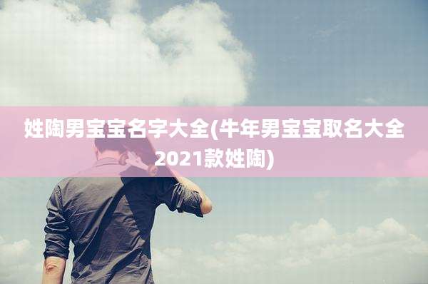 姓陶男宝宝名字大全(牛年男宝宝取名大全2021款姓陶)