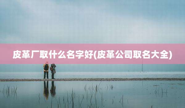 皮革厂取什么名字好(皮革公司取名大全)