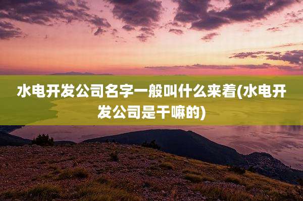 水电开发公司名字一般叫什么来着(水电开发公司是干嘛的)