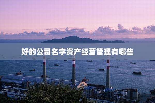 好的公司名字资产经营管理有哪些
