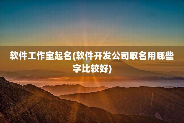 软件工作室起名(软件开发公司取名用哪些字比较好)
