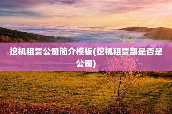 挖机租赁公司简介模板(挖机租赁部是否是公司)