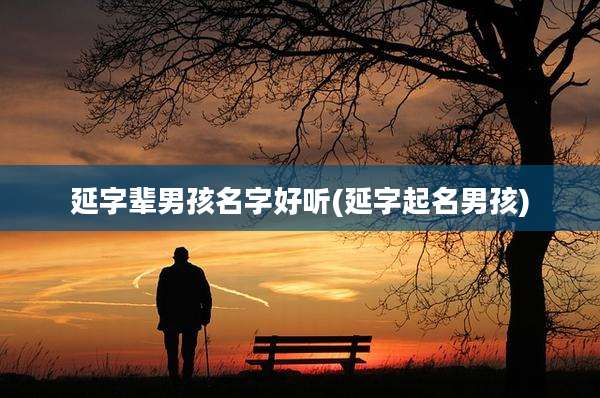 延字辈男孩名字好听(延字起名男孩)