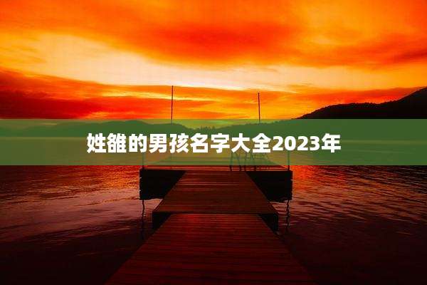 姓雒的男孩名字大全2023年