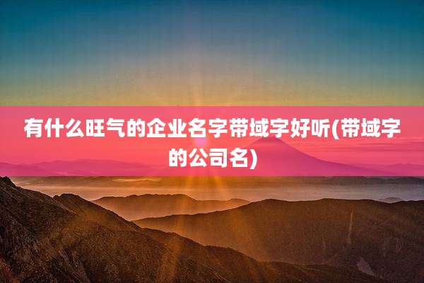 有什么旺气的企业名字带域字好听(带域字的公司名)