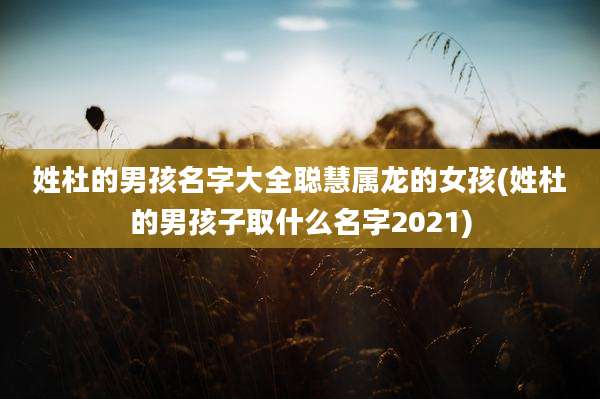 姓杜的男孩名字大全聪慧属龙的女孩(姓杜的男孩子取什么名字2021)
