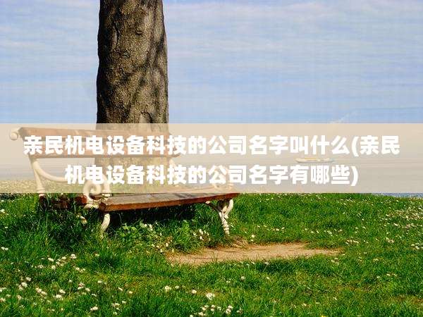 亲民机电设备科技的公司名字叫什么(亲民机电设备科技的公司名字有哪些)