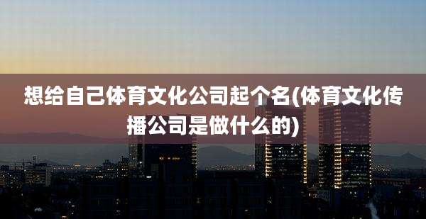 想给自己体育文化公司起个名(体育文化传播公司是做什么的)