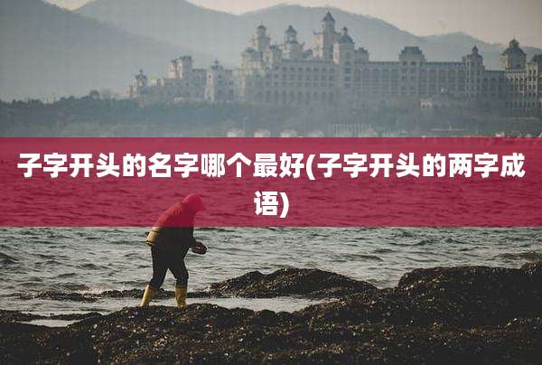 子字开头的名字哪个最好(子字开头的两字成语)