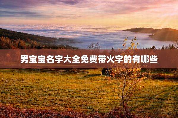男宝宝名字大全免费带火字的有哪些