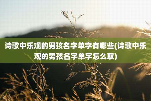 诗歌中乐观的男孩名字单字有哪些(诗歌中乐观的男孩名字单字怎么取)