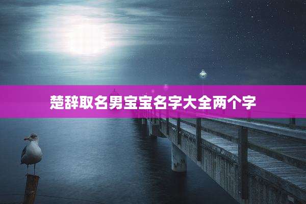 楚辞取名男宝宝名字大全两个字