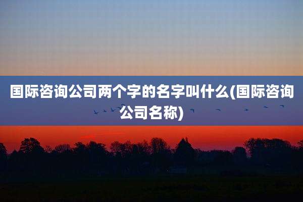 国际咨询公司两个字的名字叫什么(国际咨询公司名称)