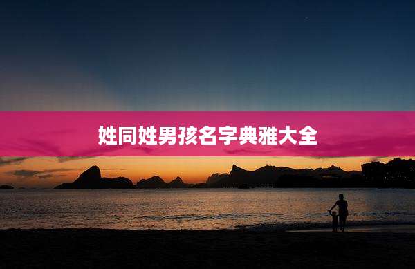 姓同姓男孩名字典雅大全