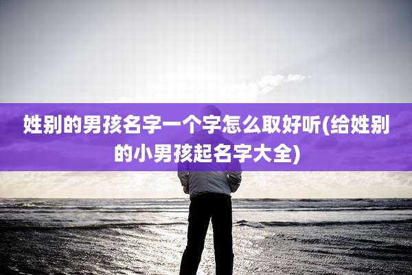 姓别的男孩名字一个字怎么取好听(给姓别的小男孩起名字大全)