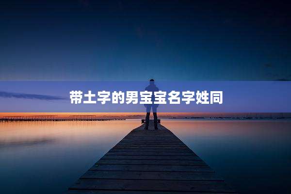 带土字的男宝宝名字姓同