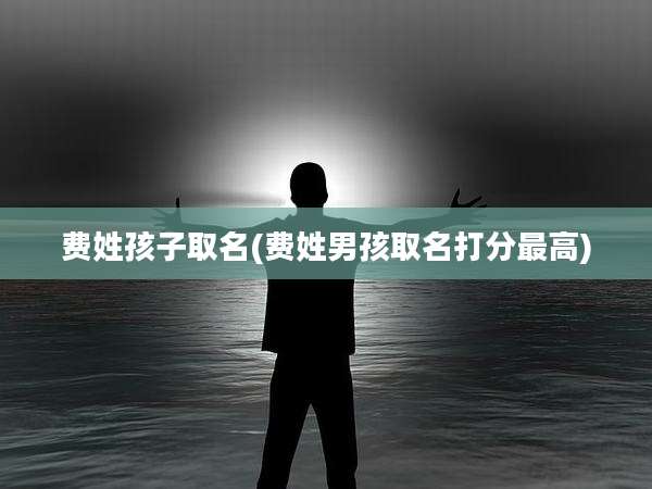 费姓孩子取名(费姓男孩取名打分最高)