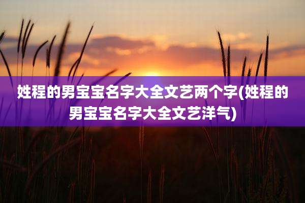 姓程的男宝宝名字大全文艺两个字(姓程的男宝宝名字大全文艺洋气)