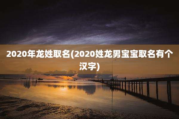 2020年龙姓取名(2020姓龙男宝宝取名有个汉字)