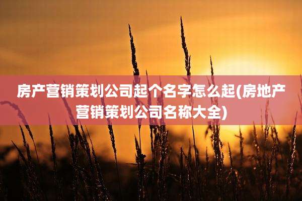 房产营销策划公司起个名字怎么起(房地产营销策划公司名称大全)