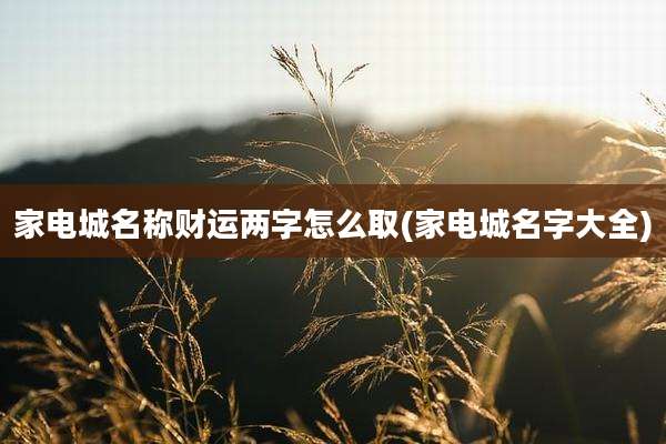 家电城名称财运两字怎么取(家电城名字大全)