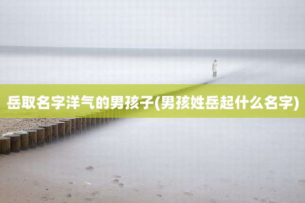 岳取名字洋气的男孩子(男孩姓岳起什么名字)