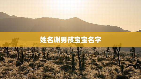 姓名谢男孩宝宝名字