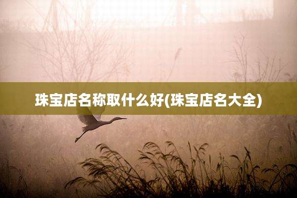 珠宝店名称取什么好(珠宝店名大全)