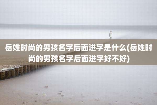 岳姓时尚的男孩名字后面进字是什么(岳姓时尚的男孩名字后面进字好不好)