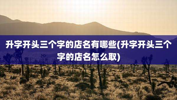 升字开头三个字的店名有哪些(升字开头三个字的店名怎么取)