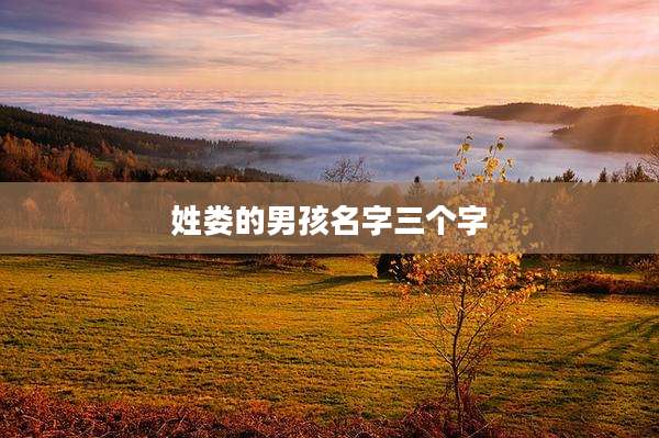姓娄的男孩名字三个字