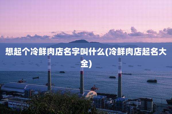 想起个冷鲜肉店名字叫什么(冷鲜肉店起名大全)