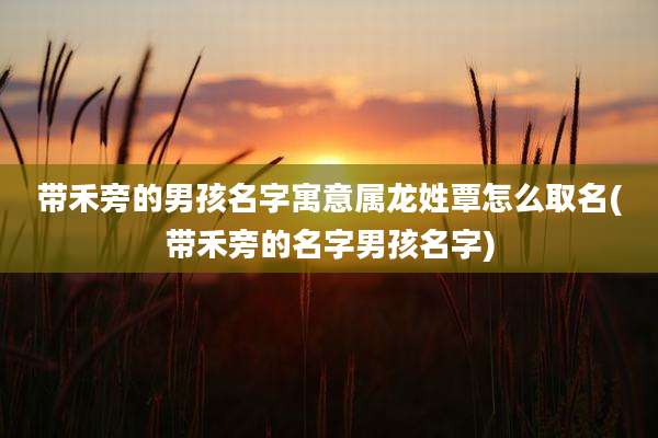 带禾旁的男孩名字寓意属龙姓覃怎么取名(带禾旁的名字男孩名字)